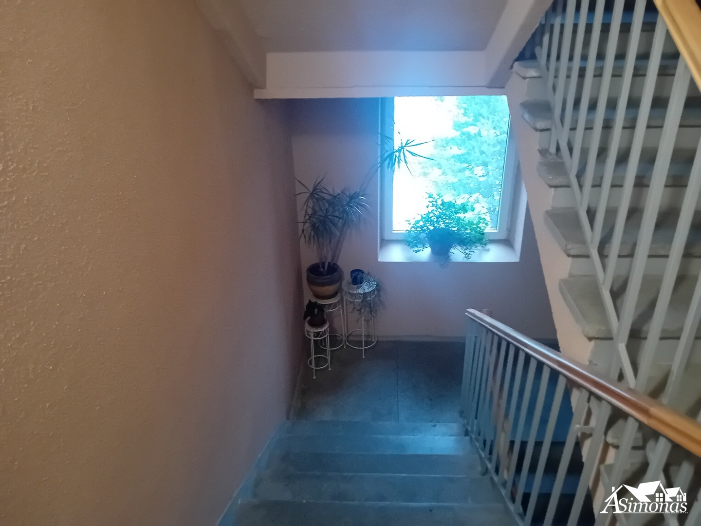 4 k. butas Vasario 16 sios g.