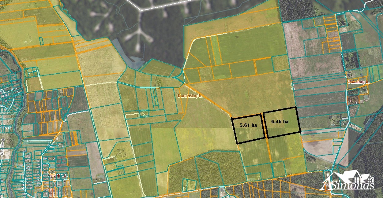 12 ha žemės sklypas Karužiškių k.